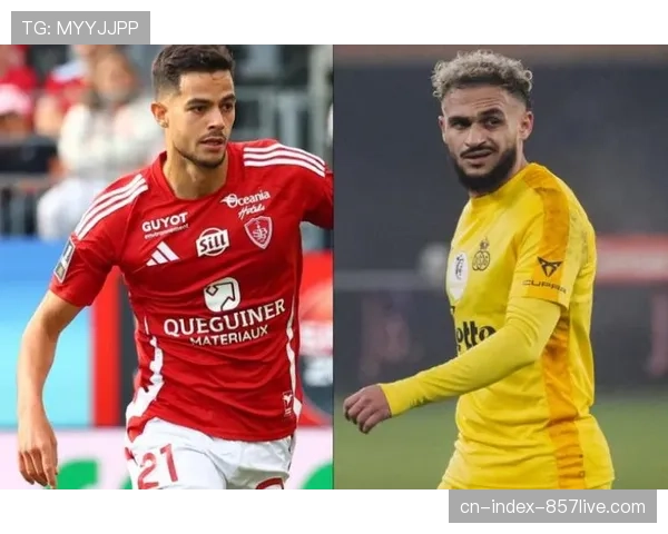 勒阿弗尔引进费弗尔与布法尔 两位过人狂魔助力球队保级征程